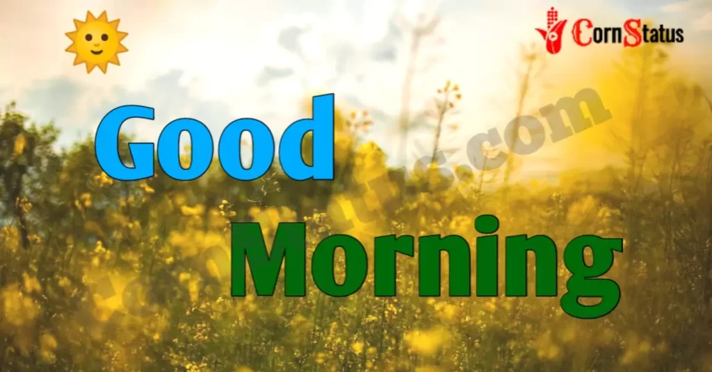 421+ New Good Morning Video Download For Whatsapp Status » CornStatus